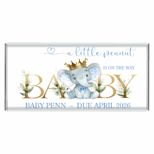 little peanut baby elephant custom chocolate bar favours